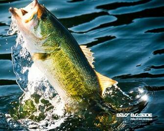 Largemouth Bass Jumping Wallpaper Jump X HD
