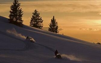 Cruising Powder In The Rockies