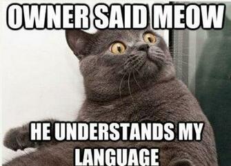 Funny Animals With Captions Wide Wallpaper