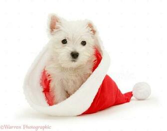 Pin Westie Wedding Cake Topper By Thepinkkoala On