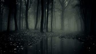 Dark Forest Wallpaper HD Desktop Background For Pc Iph