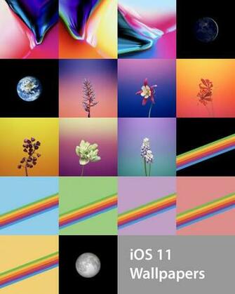 The Official Ios Wallpaper For iPhone And iPad