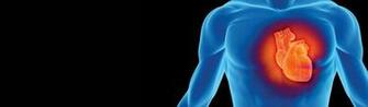Displaying Gallery Image For Cardiology Wallpaper