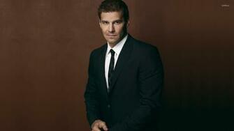 David Boreanaz Wallpaper Male Celebrity