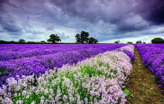Posts Popular Screensaver Landscapes