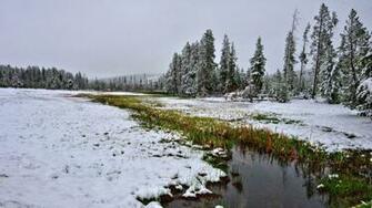 Snowy Field Creek Grass Wood Desktop Pc And Mac Wallpaper