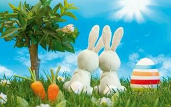 Best Funny Easter Wallpaper Background Jpg