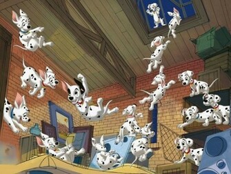 Dalmatian Wallpaper