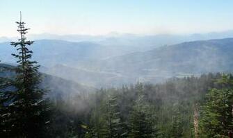 Misty Mountain Splendor Wallpaper