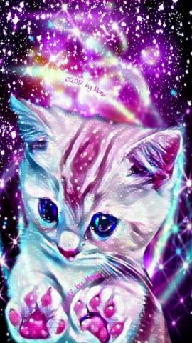 Kitten Pink Wallpaper Cute Animal Drawings Kawaii