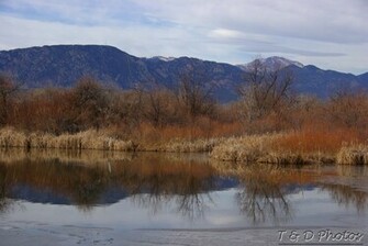Background Is Pike Peak With An Elevation Of Feet Pikes Has