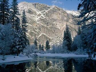 Forest Cliff Yosemite Wallpaper High Quality