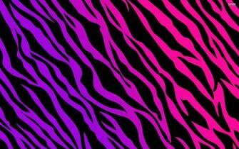 Full Pink Zebra Wallpaper Image