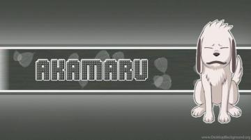 Naruto Wallpaper Kiba The Dog Boy Desktop Background