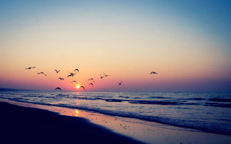 Summer Aesthetic Sunset In Beach Wallpaper