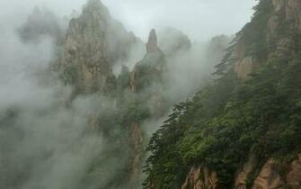 Iris Lo On Misty Scenery Mountain Wallpaper Foggy