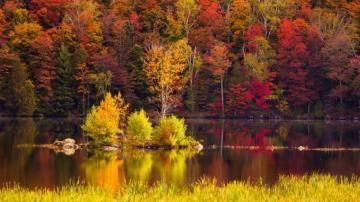 Peak New England Foliage Around Kent Pond In Killington Rutland