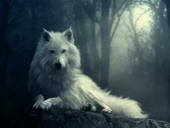 Wolf HD Wallpaper Image Cool