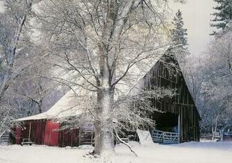 Winter Scenes Of The Season