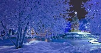 Bing Wallpaper December
