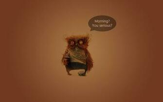 Birds Coffee Quotes Funny Owls Orange Background Wallpaper