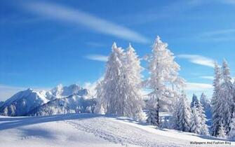 Wallpaper Winter Rjq297htuqx6gm Scenes HD