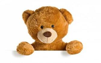 Cute Teddy Bear Wallpaper Other Better