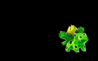 Pokemon Ivysaur Black Background Wallpaper High