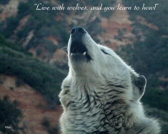 Howling Wolf