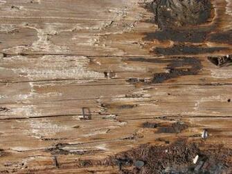 Weathered Wood