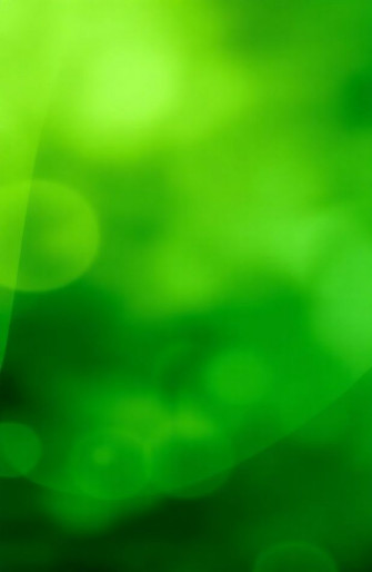 Green Color Background Wallpaper
