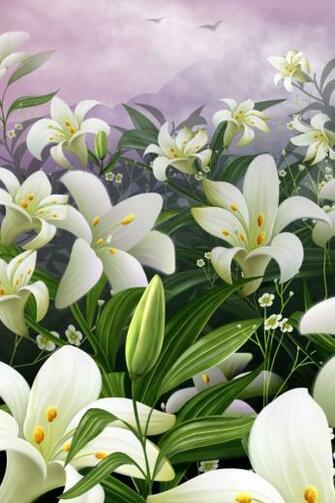 White Lilies iPhone Wallpaper