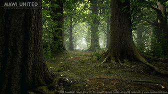 Big Img New Photos Fog In The Jungle