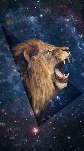 Lion iPhone 5s Wallpaper iPad