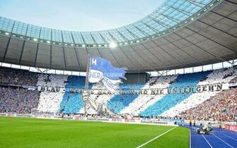 Top HD Hertha Bsc Wallpaper Sport Kb