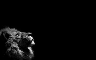 Black And White Wallpaper HD