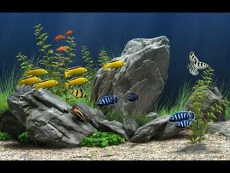 Magnet Screen Savers Wallpaperanimation Spot 2009