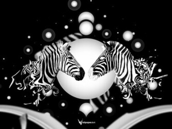 Zebra Wallpaper Definition Widescreen Lcd Desktop
