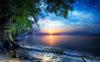 Nature Sea Sky Skyline Sun Tree Wallpaper HD 4k