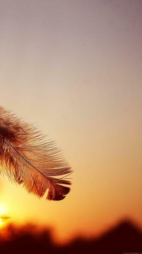 Samsung Note Wallpaper HD 1080p Pictures