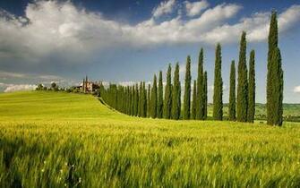 Farms Wallpaper