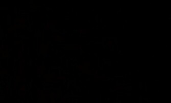 Black Wallpaper Desktop Windows
