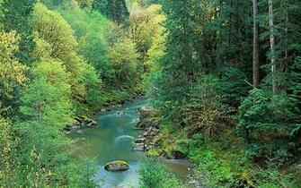 High Resolution Nature Wallpaper Desktop