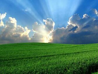 Windows Bliss Wallpaper Alternative The Story Of Asn