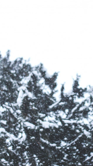 Merry Preppy Christmas iPhone Wallpaper