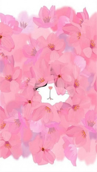 Pretty Phone Wallpaper