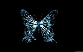Fringe Butterfly Wallpaper