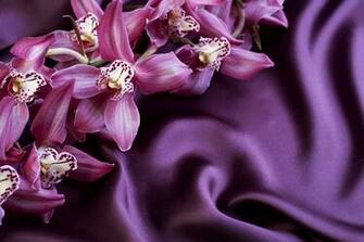 Satin With Orchids Background Gallery Yopriceville High