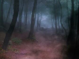 Forest Fog