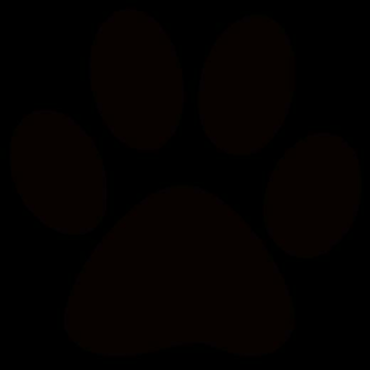 Dog Paw Print Image HD Wallpaper Lovely